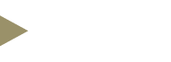 Cyber Interactive Solutions Logo